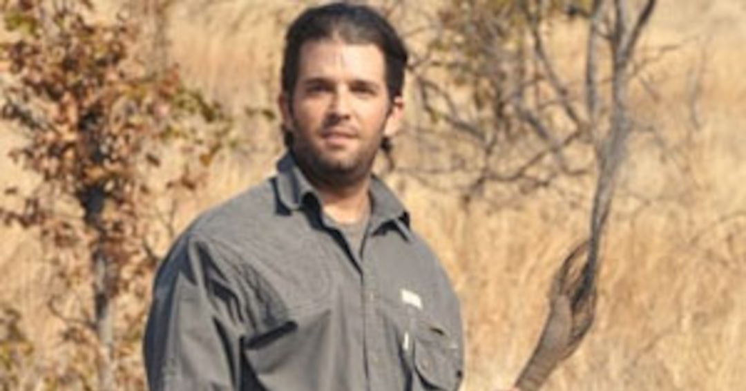 Donald Trump's Sons Defend Killing Animals on African Safari We Have